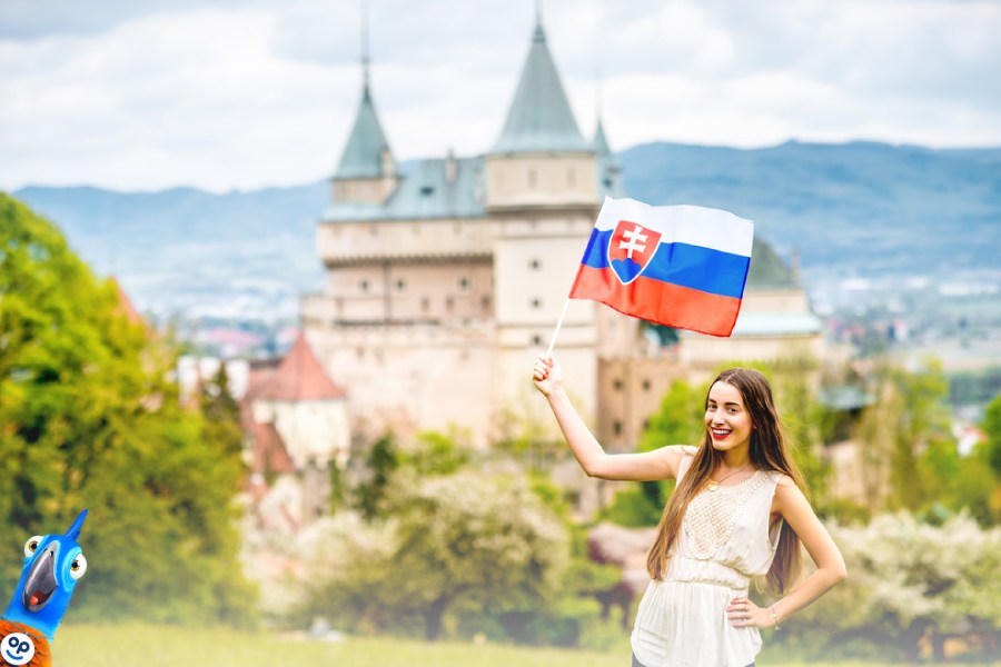 Cestovn pojitn na Slovensko