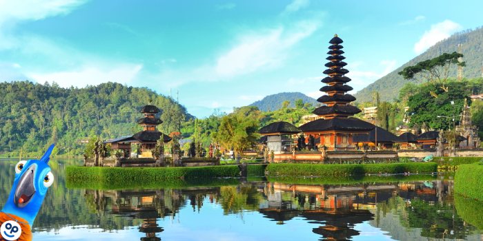 Cestovn pojitn na Bali