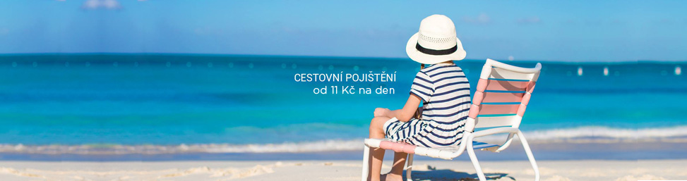 CEstovn pojitn od 11 K na den