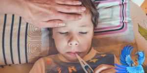 Plnujete dovolenou? Nepodceujte riziko storna