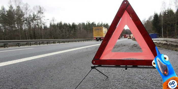 Povinn vbava Polsko