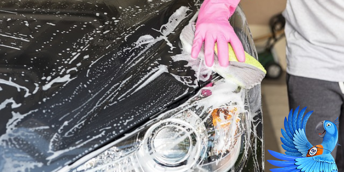 Servis auta - jak se starat o váš vůz