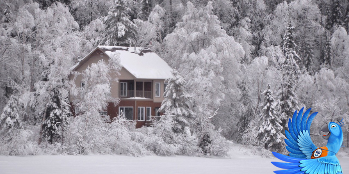 Připravte svůj dům na zimu