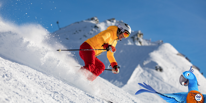Cestovní pojištění na lyže