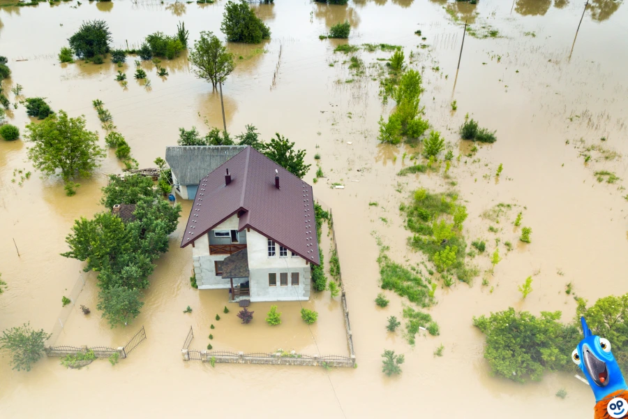 Záplavy a povodně