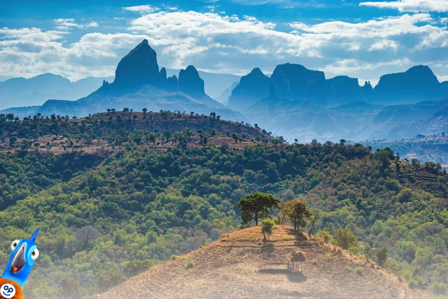 cestovn pojitn do Afriky