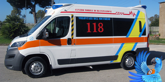 Cestovní pojištění repatriace