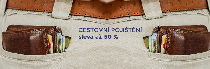 Cestovn pojitn pepaden