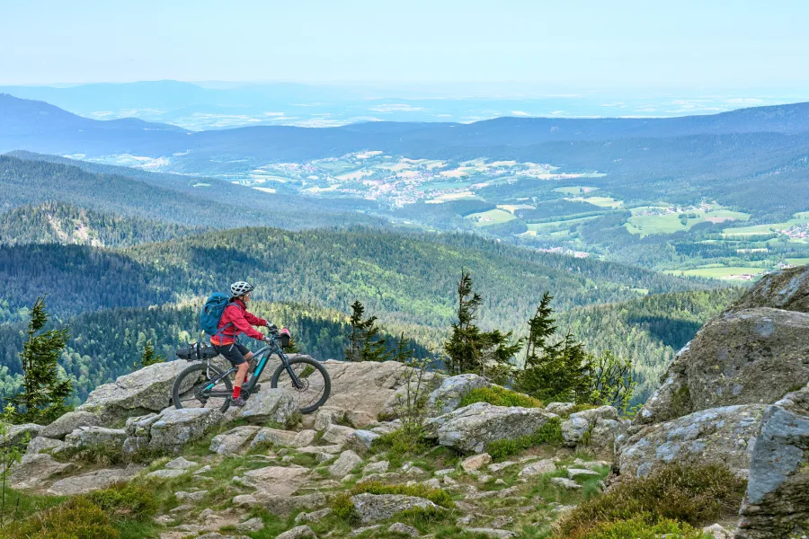 jednodenn cestovn pojitn