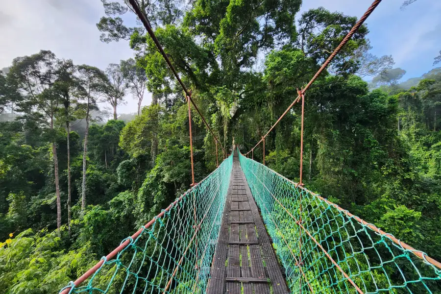 kam na svatebn cestu Borneo